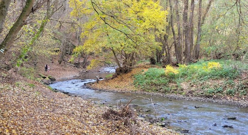Holttestet találtak a Pinka patakban