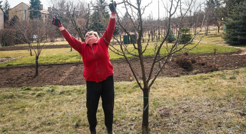 Ezeknek a zöldségeknek nem kell a selymes meleg – szinte könyörögnek, hogy kora tavasszal ültesd el őket