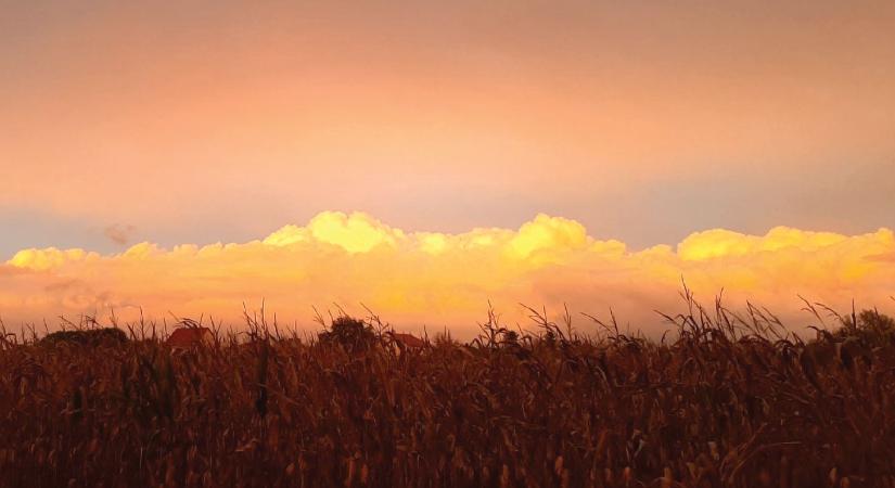 Kerecsen Andrea regényrészlete