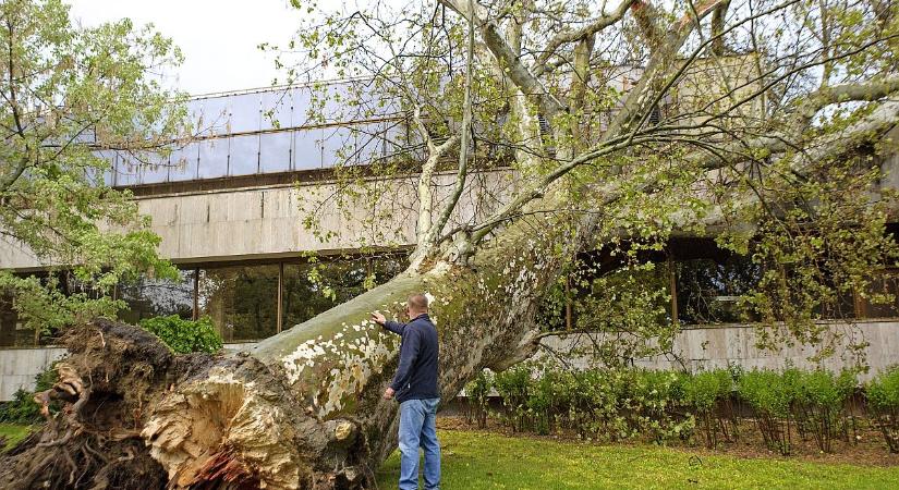 A brutális szél után még több eső jön, figyelmeztetés érvényes