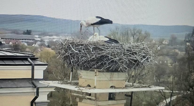 Újra együtt Edelény híres szerelmespárja