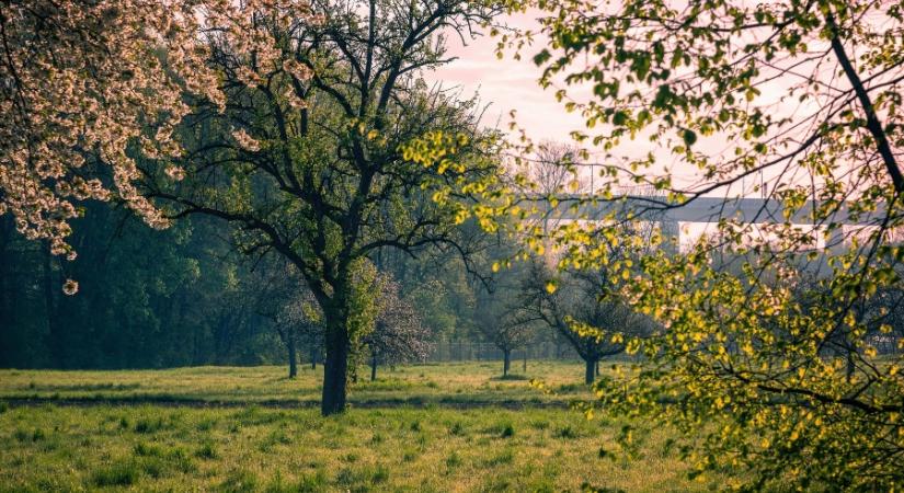 Kezdődhet a visszaszámlálás: a didergős kezdet után visszatér a napsütéses tavasz