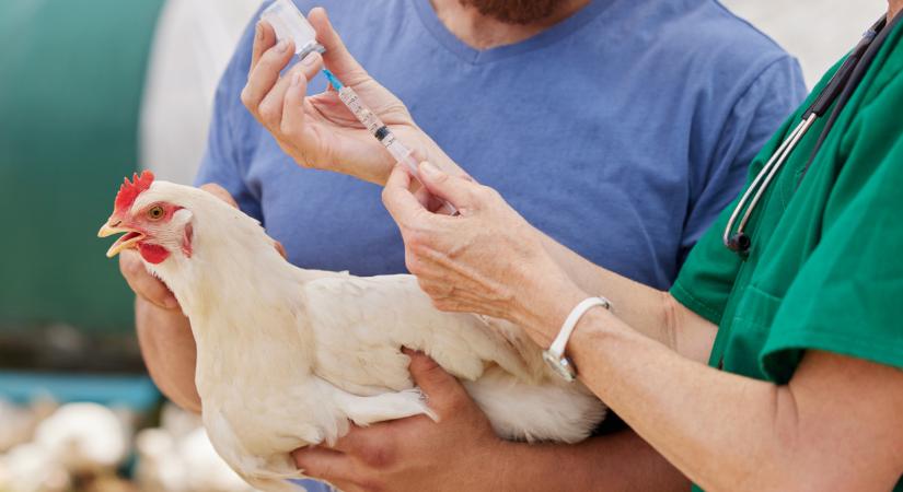 Óriási átverés vagy csodaszer? Végre pontot tesznek a mítosz végére