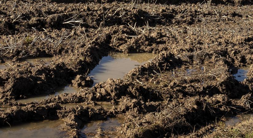 Veszélyben a talajaink a vízmegtartás a jövő kulcsa