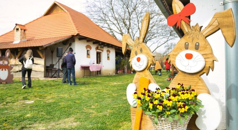 93 évesen is alkot: elbűvölte a borsodiakat az ónodi dédi horgolt kiállítása