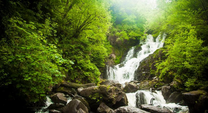 Kvíz: azt hitted, mindent tudsz a világról? 10-ből 9 ember elbukik már a negyedik kérdésnél