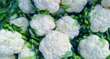 Import karfiol: meglódultak az árak Lengyelországban