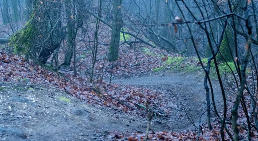 Büntetlenül pusztítják a védett erdőket a downhillesek