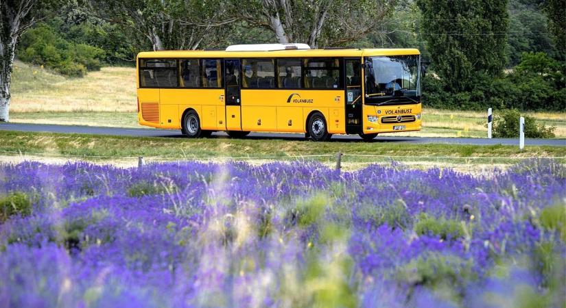 Figyelem, busszal járók! Fontos járatokon változik a menetrend április 1-jétől