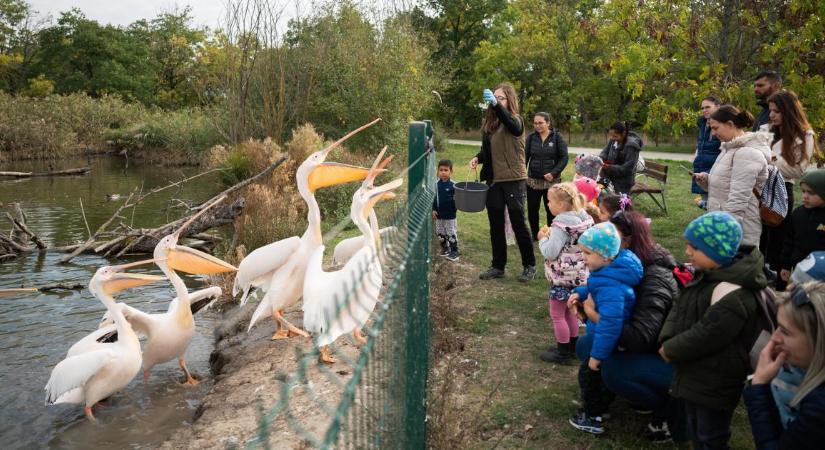 A Hortobágyi Vadaspark lakóival ünnepelhetjük együtt a húsvétot