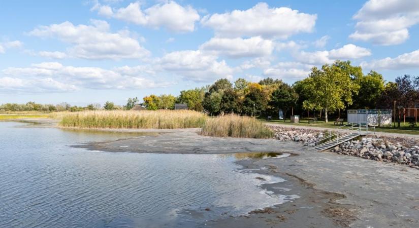 Kockázatos lépés a Velencei-tónál, inváziós faj miatt kongatták meg a vészharangot