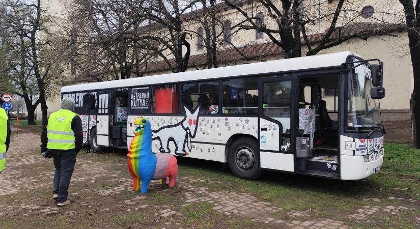 Lejött Vásárhelyre a kutyapártos kampánybusz, nem volt tumultus, de lehetett pörgetni egy ingyen sört