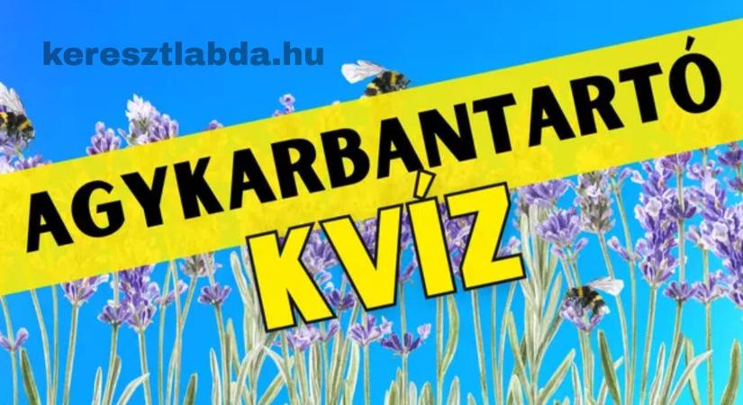 Napi agykarbantartó feladat: Meg tudod számolni a rejtett elemeket? Csak a sasszeműeknek sikerül!