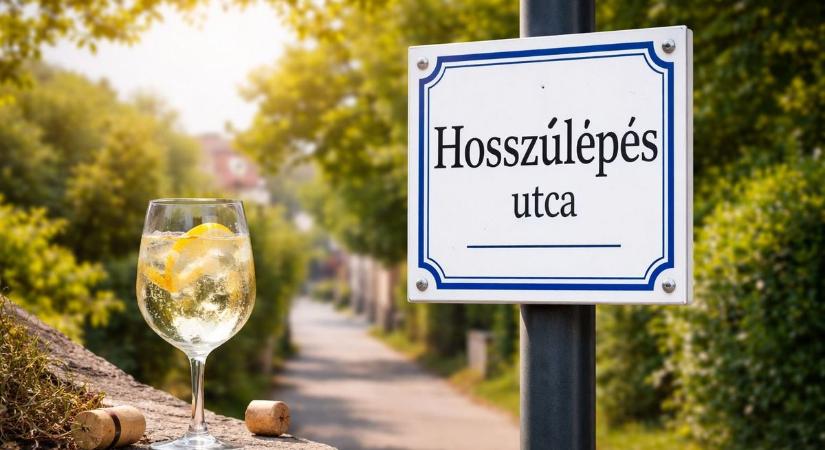 Ezek a legfurcsább utcanevek Baranyában – a Hosszúlépés utcában csak fröccskedvelők élnek?