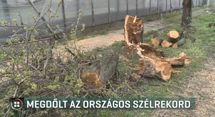 Megdőlt az országos szélrekord – autópályatempóval süvített az orkán