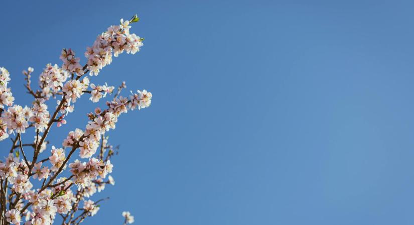 Húsvétvasárnap újra ránk mosolyoghat a nap