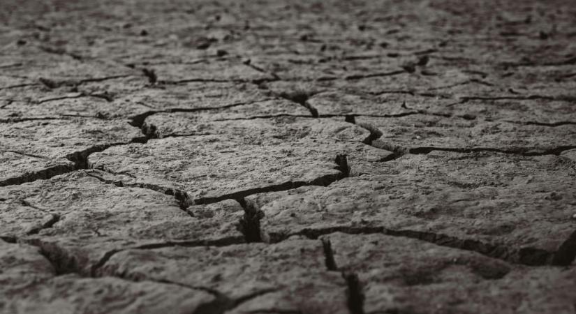 Páratlan természeti csoda tűnik el Magyarországról, a szemünk láttára emészti fel a vízhiány