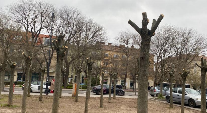 A természetközeli fenntartás az egyetlen járható út