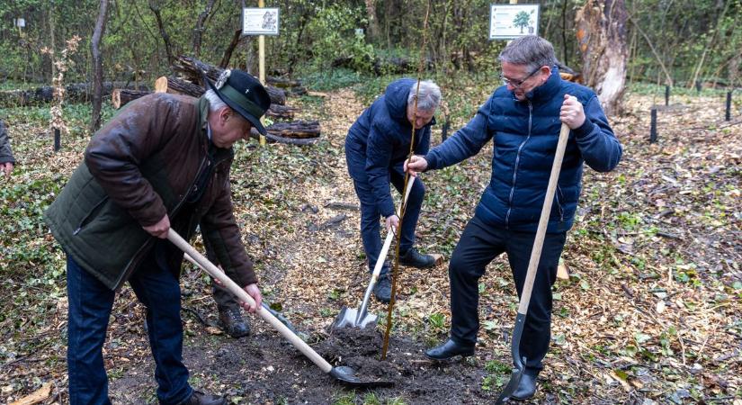 Elindult a projekt: átalakul Tata erdeje az Öreg-tó mentén fotók