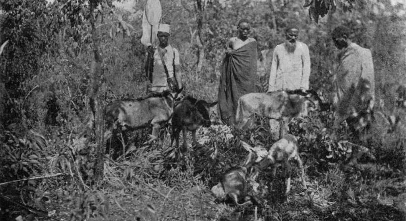 A magyar báró, aki Afrikáig futott