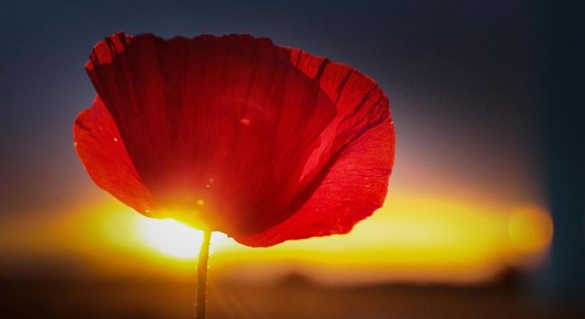 Romantikus élmények: TOP 6 hely, ahol szép a naplemente Vasban