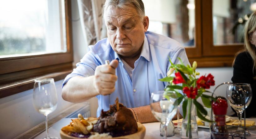 Péterfy Gergely: Nem valószínű, hogy a gulyás-Napóleon uralma után valaha is épkézláb európai nemzetté válhat a magyar