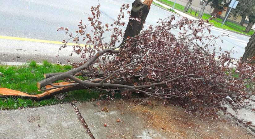 Alaposan kiszellőzünk