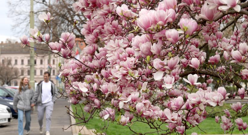 Hűvös idővel indul a hét, majd végre eltehetjük a kabátot