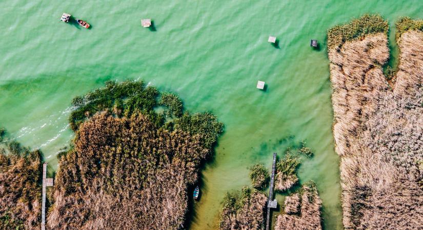 Komoly természeti átalakulás a Dél-Balatonnál