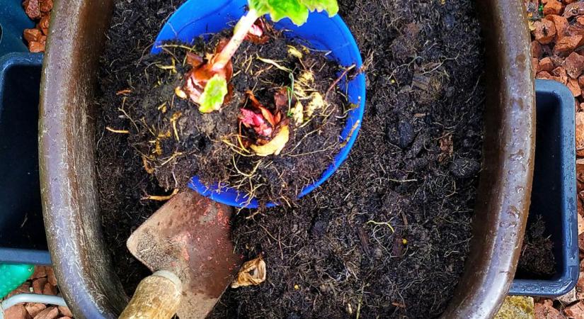 Komposztérlelés: mennyi idő alatt készül el?