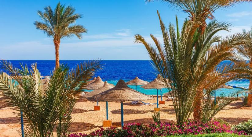 Nyaralni mentek a szülők - öt kiskorú gyermeküket hagyták magukra