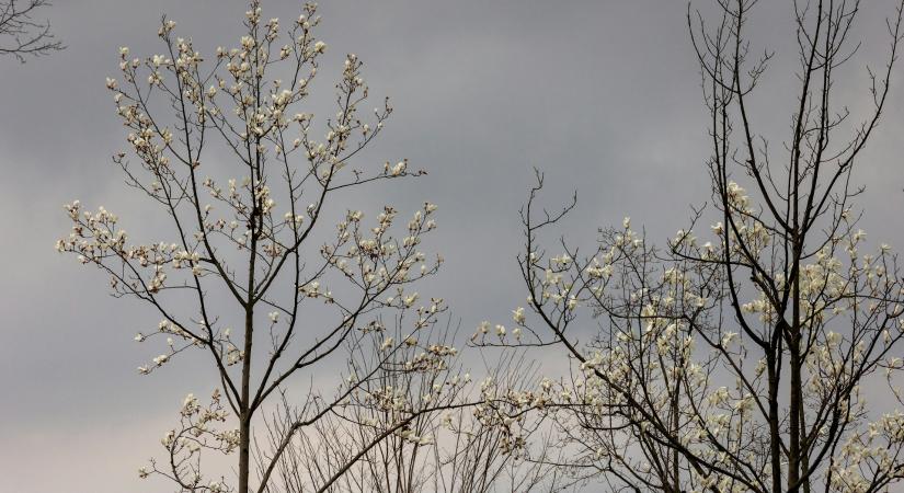 Időjárás 2026. március 30.: Borult, szeles nappal indít a hét