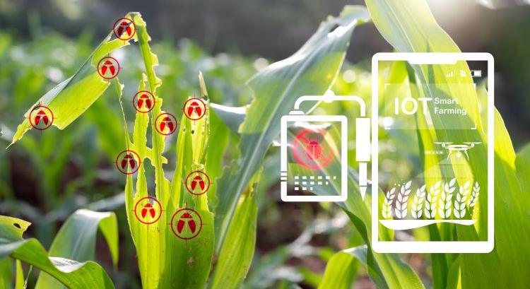 Nem a drónnál kezdődik: a precíziós növényvédelem valódi belépője