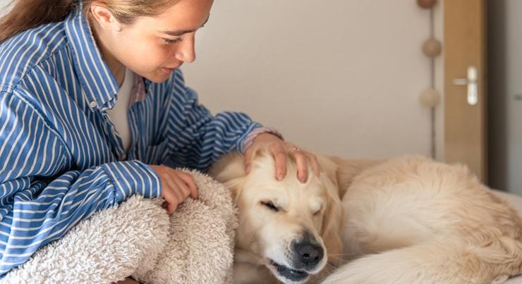 Szabadság járhat a beteg háziállat után? – volt már rá példa