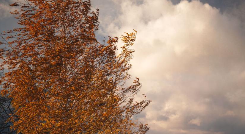 Itt a hétfő, marad a borongós, szeles idő