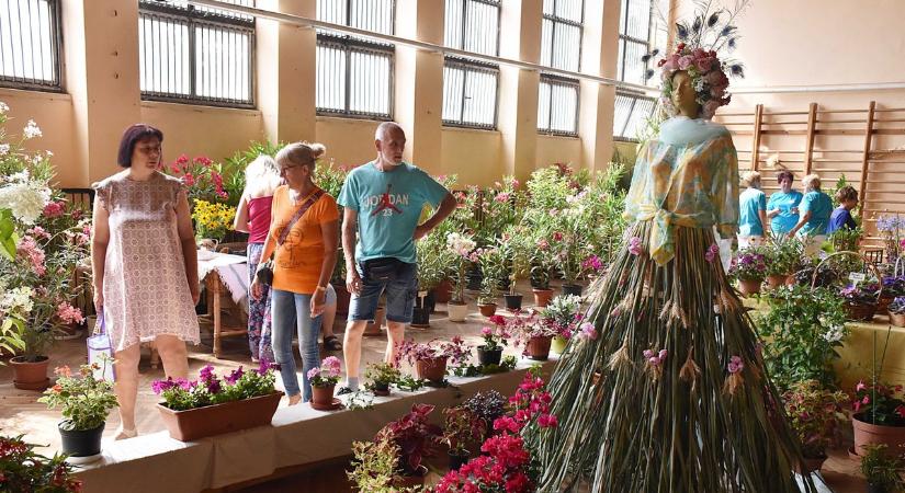 Civilek támogatásáról döntött a képviselő-testület, így osztották szét a hatmillió forintos keretösszeget