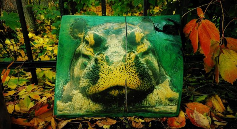 Különleges képi világ tölti meg élettel az új intézményt