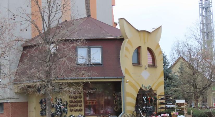 Szentesi mimikri: cicaház töri meg a lakótelepi épületek egyhangúságát