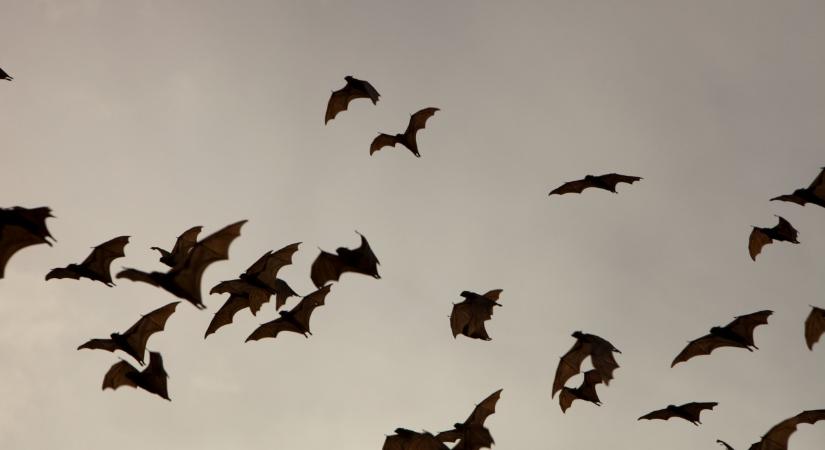 Szigorú kötelezettséget vállaltak az országok: súlyos számok láttak napvilágot