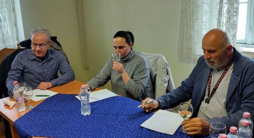 Kistermelők nagy borai: aranyeső a várdombi versenyen