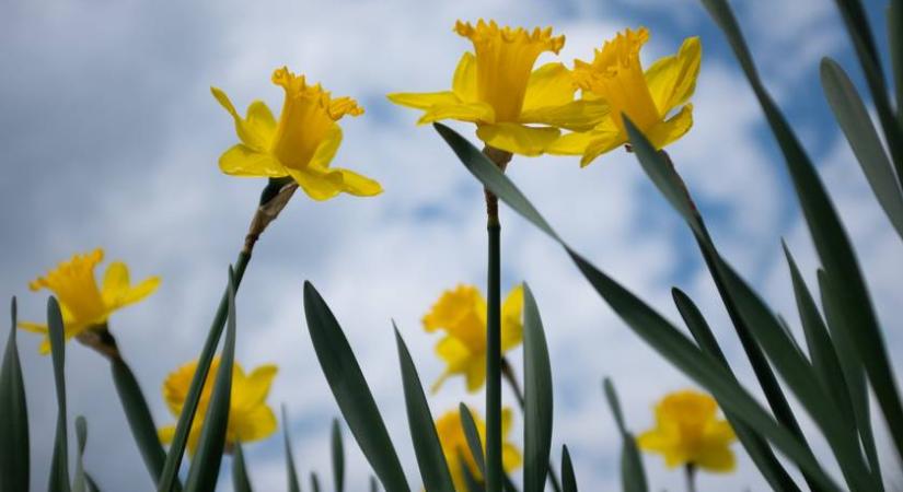 Kiderült, milyen időjárás jön a húsvéti hosszú hétvégén: meredek fordulatra számíthatnak a magyarok