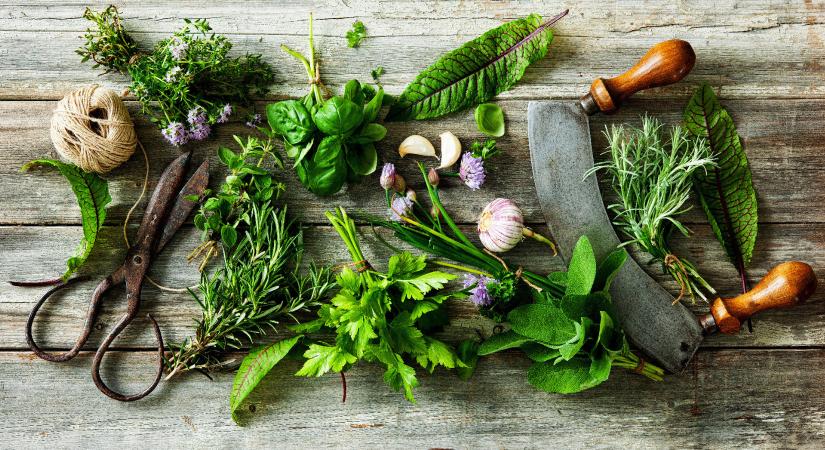 9 fűszer 9 formában