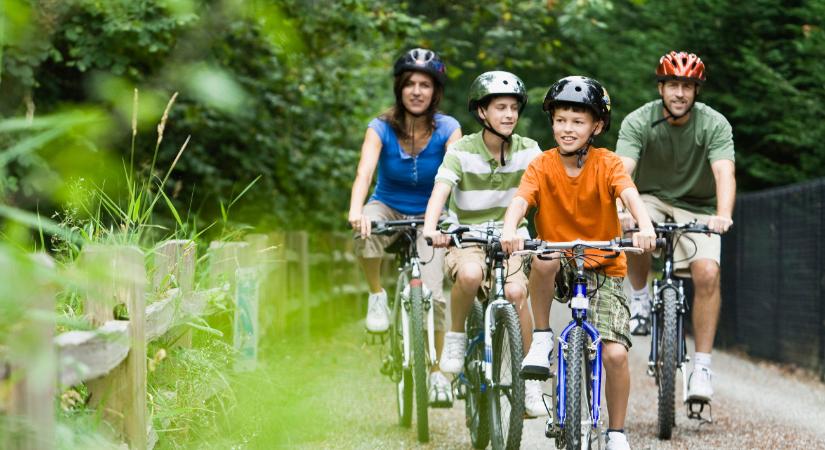 Megújult a Pilis egyik legfontosabb erdei kerékpárútja