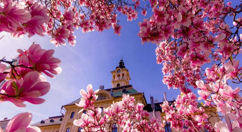 Tavaszi zsongás Szegeden