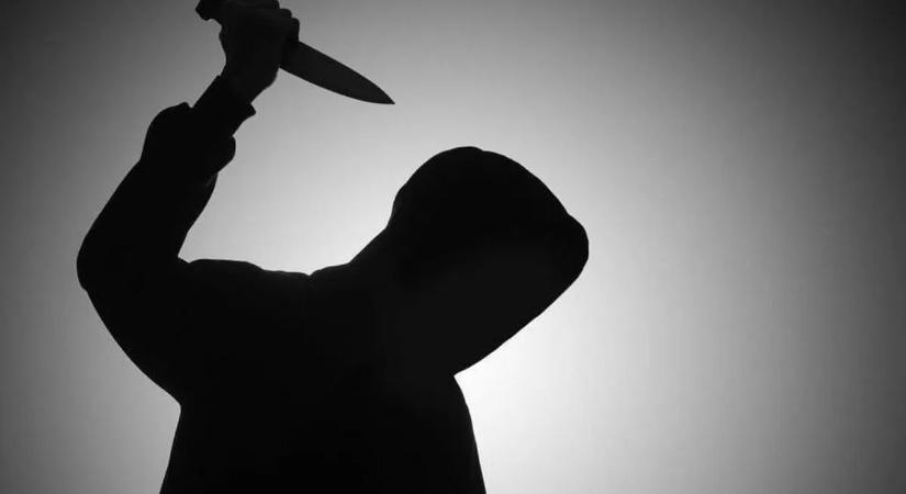 Nem kapta meg gyógyszereit a mátyásföldi anyagyilkos