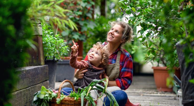 Ha unod már a pörgést, ez az 51 természetközeli tavaszi program segíthet lelassulni