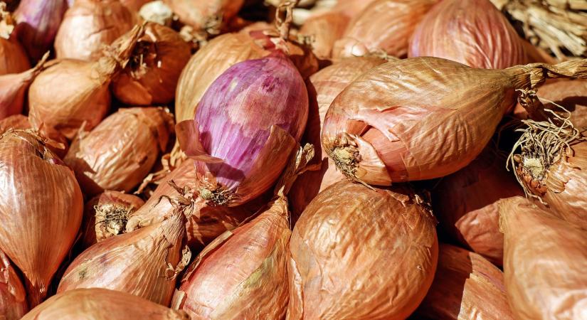 Túlkínálat az ukrán hagymapiacon