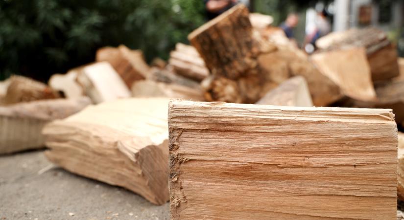 Nedves tűzifa  szennyezett levegő