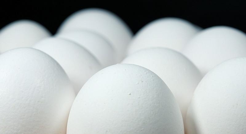 Tavaszi ellenőrzések: „összességében kedvezőek” a Nébih első tapasztalatai