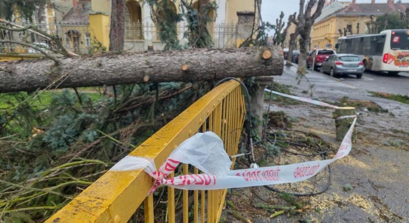 Viharkárok: több mint száz alkalommal riasztották a vasi tűzoltókat a hétvégén